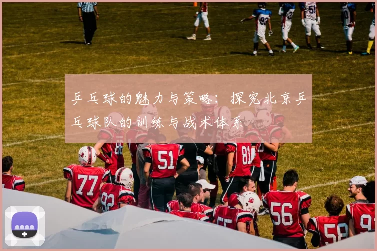 乒乓球的魅力与策略：探究北京乒乓球队的训练与战术体系