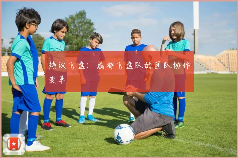 热议飞盘：成都飞盘队的团队协作变革