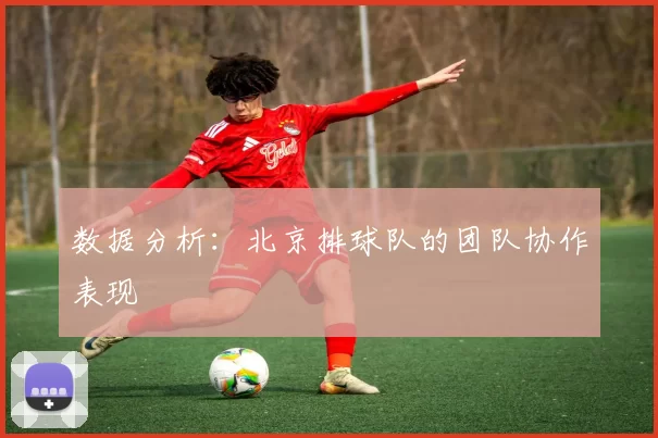 数据分析：北京排球队的团队协作表现