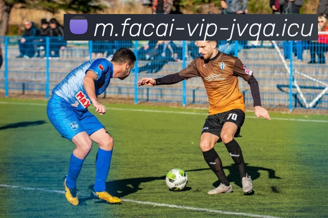 米兰体育APP 封面图